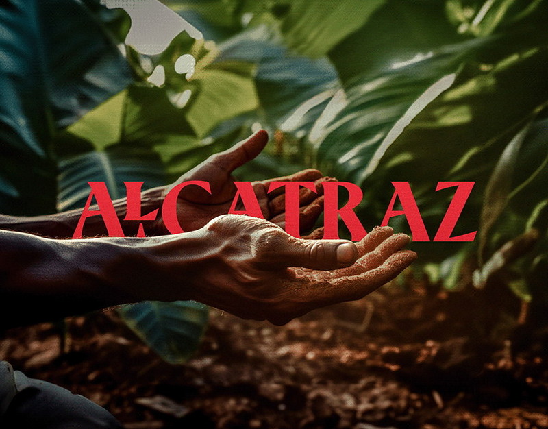 Квадрокоптер продержался в воздухе три с половиной часа на одном заряде