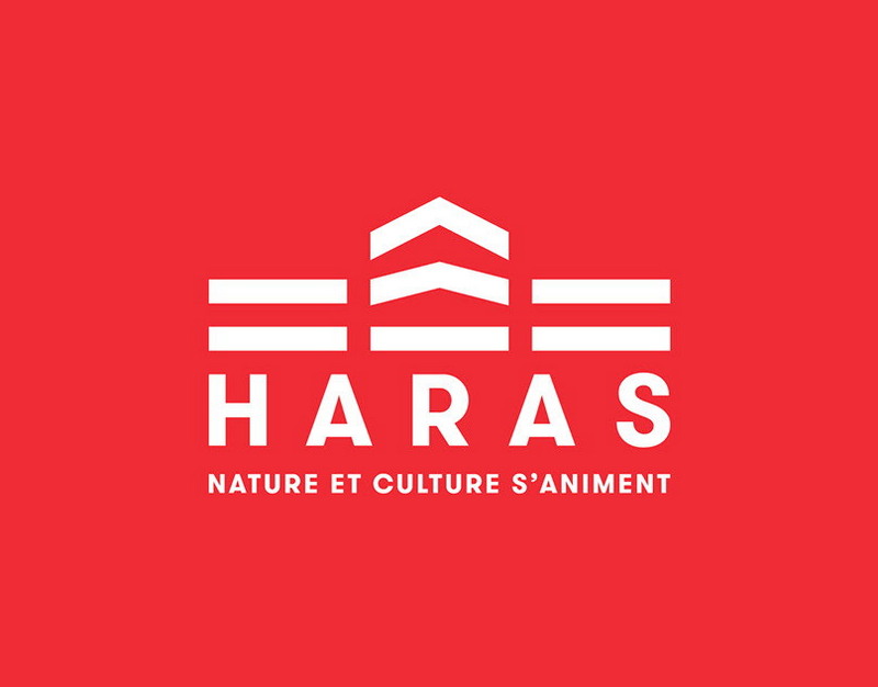 Reuters указало на возможную приостановку работы правительства Франции