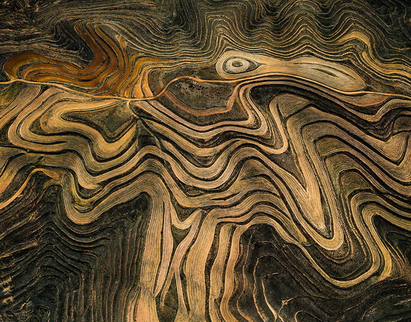 Сикорский объявил поляков южными скандинавами