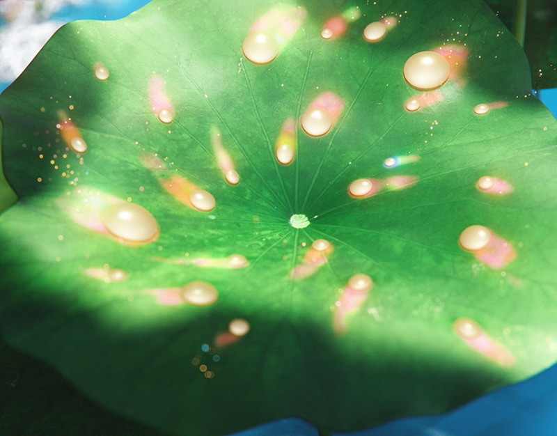 Выпуск дистрибутива MiniOS 5.1